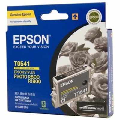 Epson T0541 Photo Black Cartridge