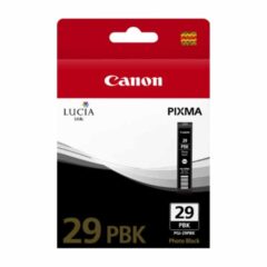 Canon PGI29 Photo Black Ink